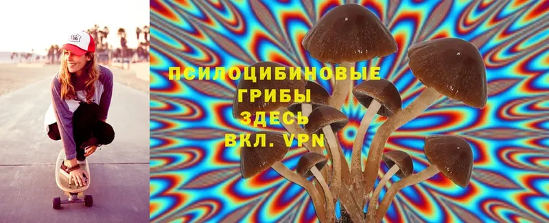 нарко площадка какой сайт  купить закладку  Опочка  Псилоцибиновые грибы Cubensis 